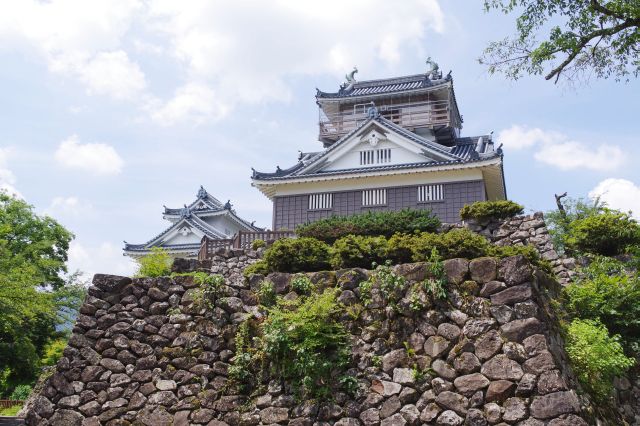 越前大野城の写真ページへ