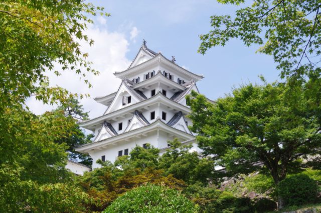 郡上八幡城の写真ページへ