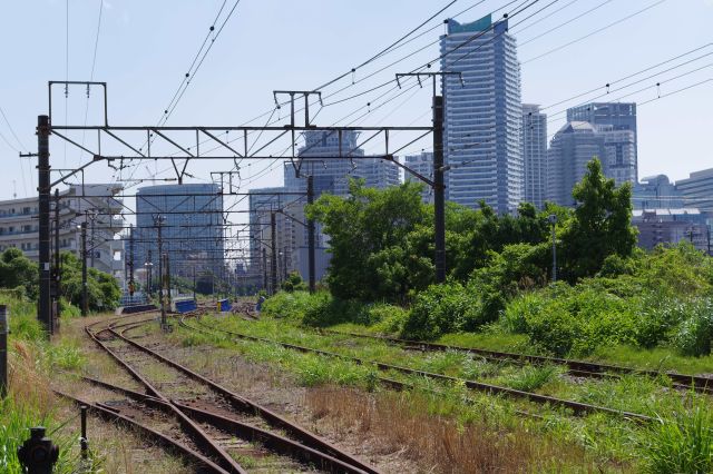 草が生えた線路が伸びます。