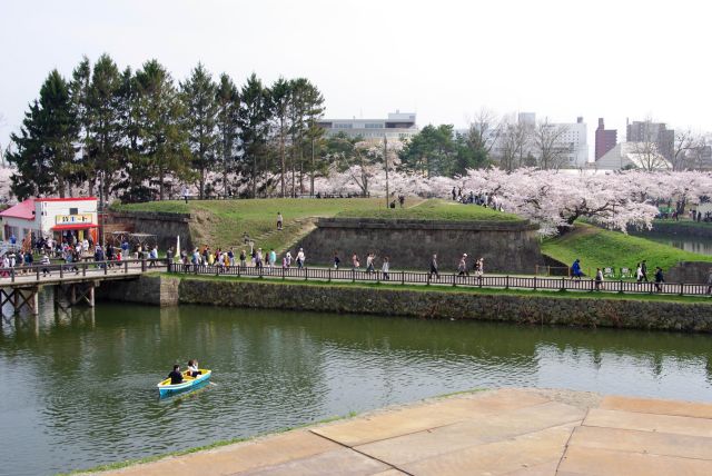 半月堡の先にも桜がいっぱい。