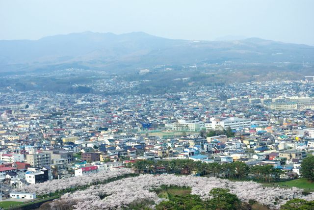 五稜郭の奥の山。四稜郭もこちら側と思われる。