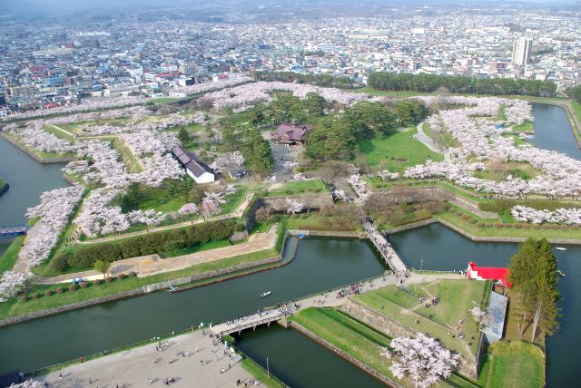 五稜郭タワー展望台からの桜(2018年)の写真ページ