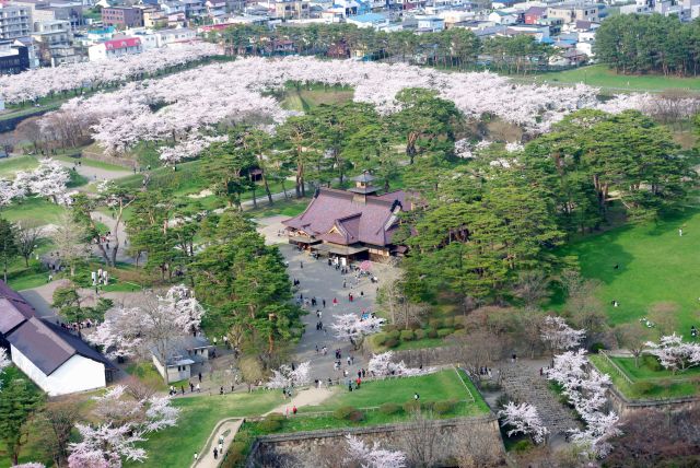 中央には箱館奉行所の建物。