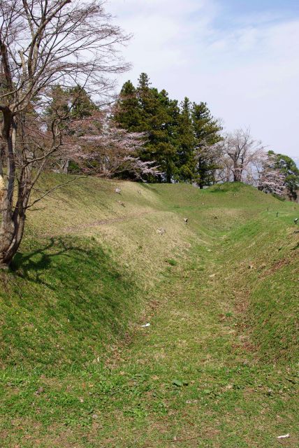 周囲は空堀に囲まれています。