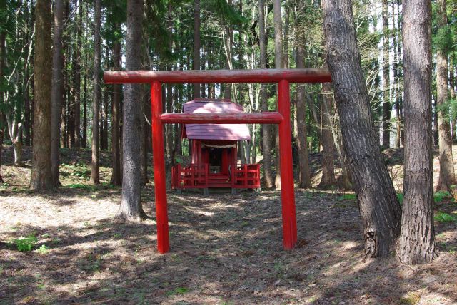 北側の角に小さな神社があります。