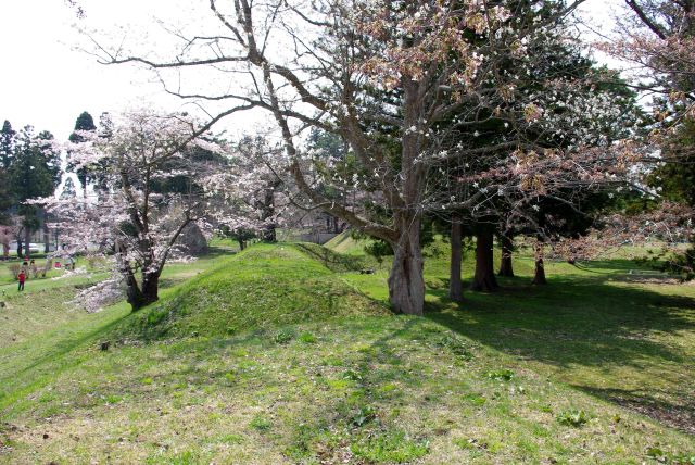 東側の角の土塁の上。