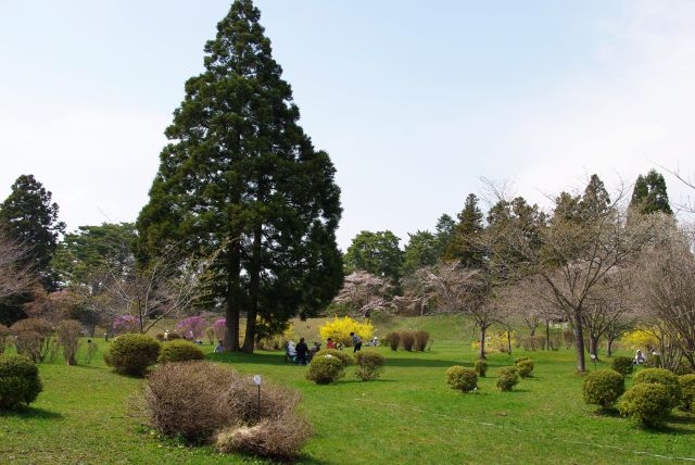 陣屋跡方向、きれいに整備された自然公園です。