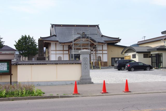 桜は法亀寺というお寺の敷地にあります。北斗桜回廊の１つで車や人が多く行き交います。