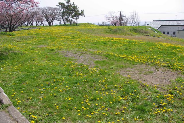 右手にはたんぽぽが沢山。