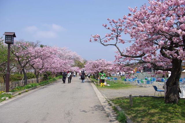 訪れる人も多く和風のＢＧＭが響き祭りの雰囲気。