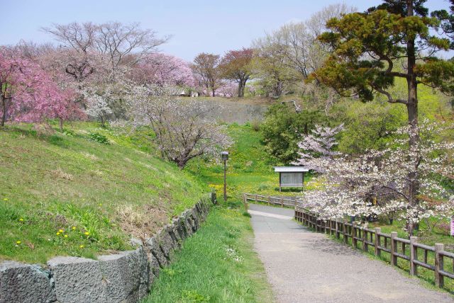 三の丸から下る馬坂。