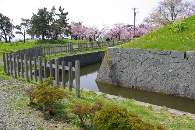 堀の先はさきほどの分かれ道に合流。たんぽぽ等の草花も良い。