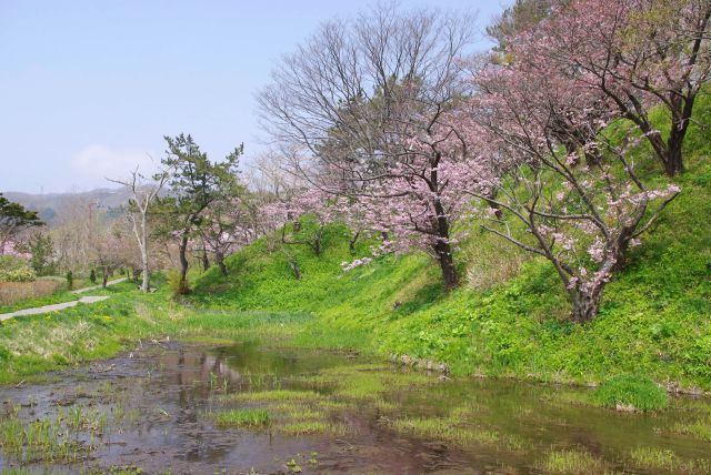 西側の道を進みます。