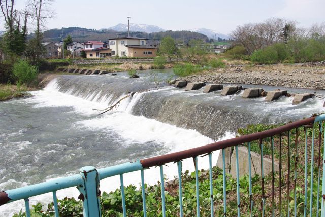 桜並木へ川沿いを進む。川の流れは速く音も迫力あり、近づくと涼しい。