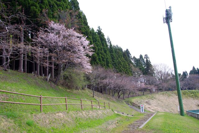 駅の裏手近くにある薬師山へ。球場の先は自然豊かな斜面。