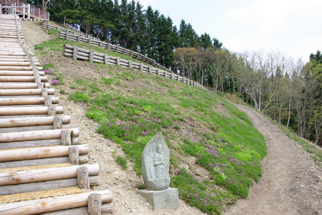 数分で観音像のある芝桜地帯へ。まだ少し時期が早かったようです。