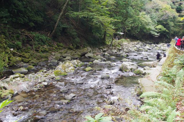 心地よい自然の中の渓流。