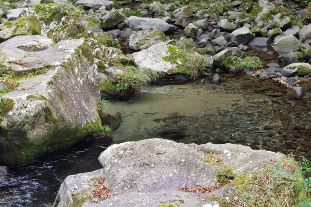 水は透明で川底が見えます。