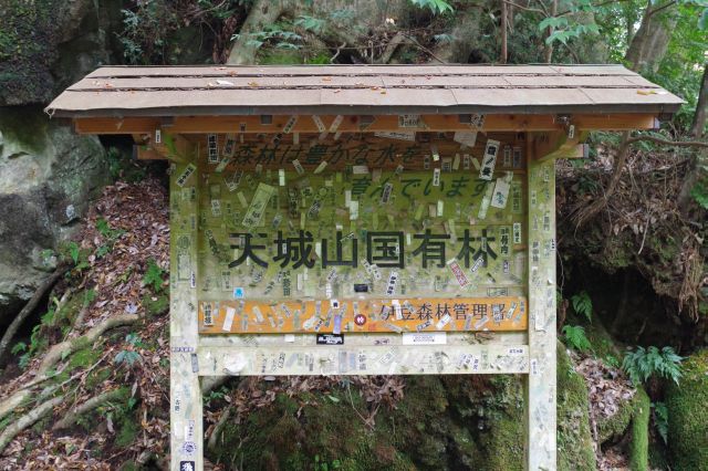 天城山国有林の看板。千社札がいっぱい。