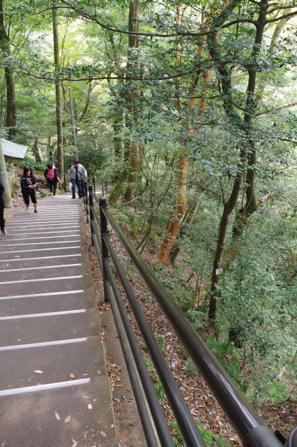 駐車場から谷底へ急階段を降りて行きます。