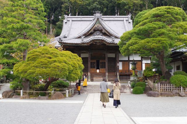 修禅寺の写真ページへ