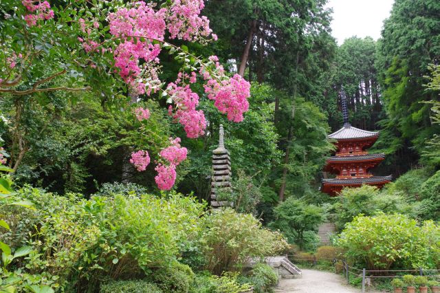 岩船寺の写真ページへ