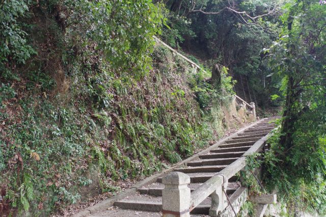 セミが鳴く静かな参道、階段を上ります。