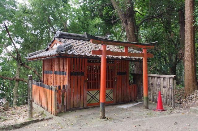 道の分岐点には大扉稲荷社。このまま直進します。