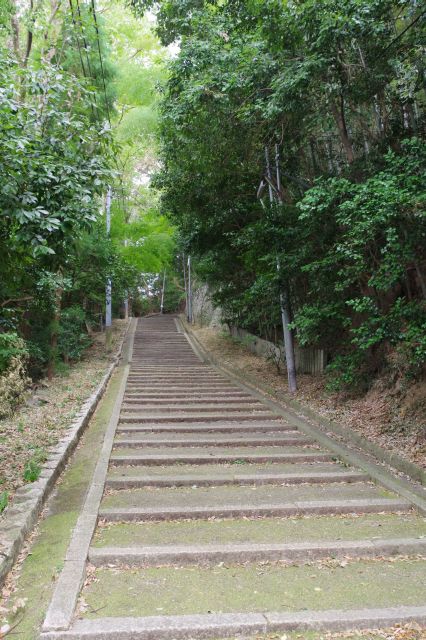 延々と自然の中の直線の坂道が続きます。風景が変わらない。