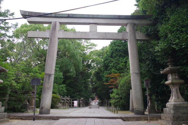 三の鳥居、突き当りに本殿があります。