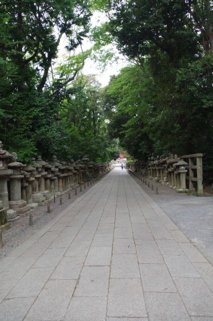 灯篭が続く参道。