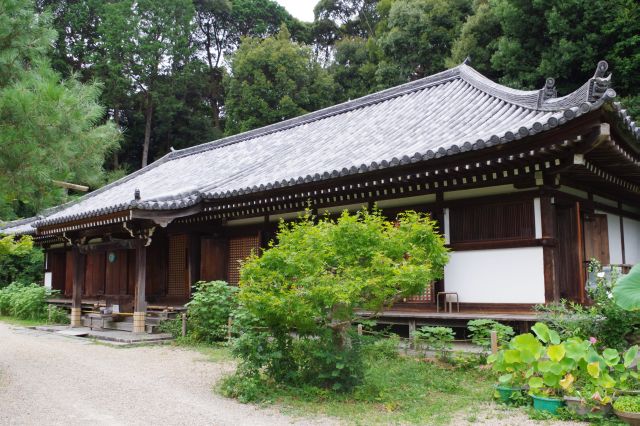 浄瑠璃寺の写真ページへ