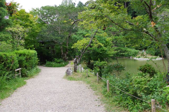 セミが鳴く涼しい庭園を歩く。