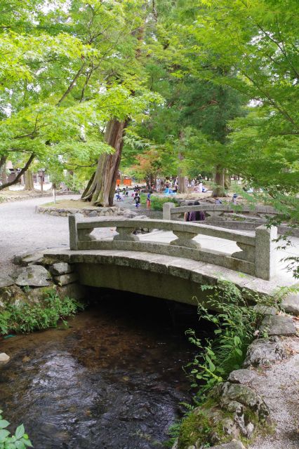 子供たちが遊ぶ「ならの小川」はせせらぎの音が心地よい。