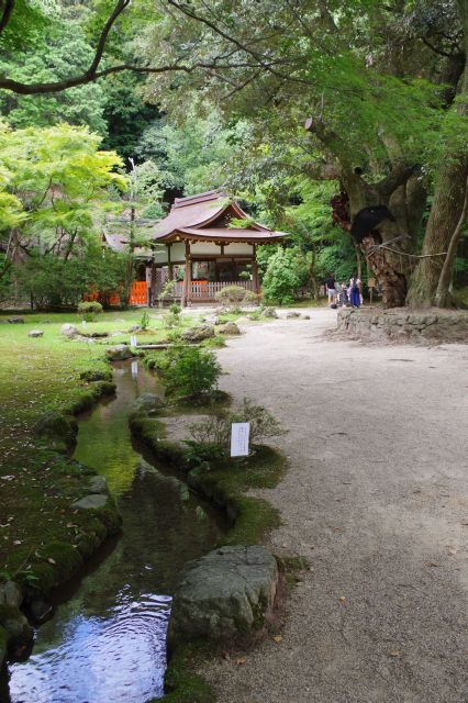 右脇には庭園の渉渓園。