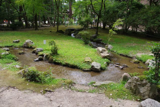 小川の流れと苔が癒される。