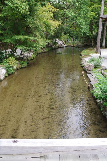 心地よい川の流れ。