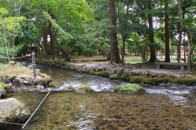 心地よい川の流れを感じながら。