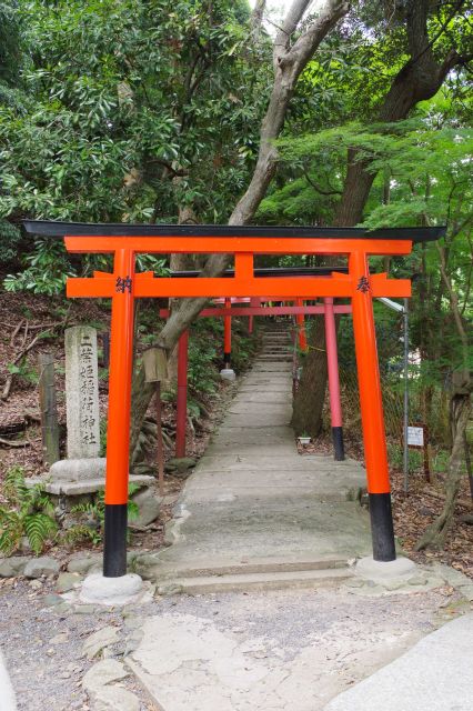 山に鳥居が続きます。