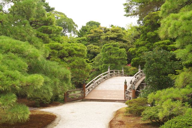 小御所前の御池庭。美しい庭園です。