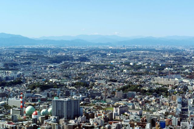 平野の向こうには高尾さんや秩父山地。