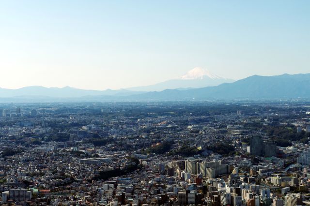 富士山が顔を出します。