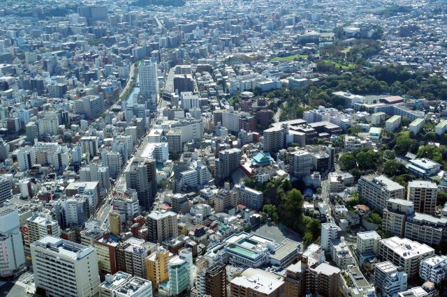 大岡川、野毛山動物園、京急線沿いの街並み。