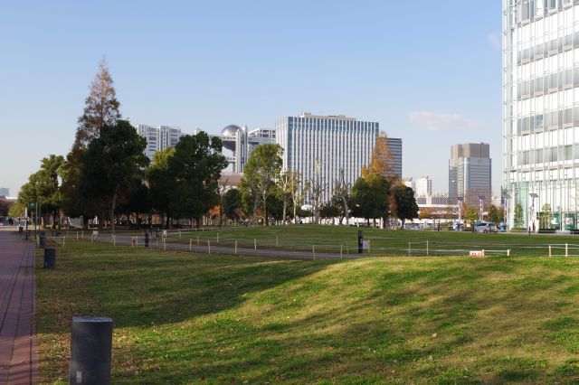 約束の草原。