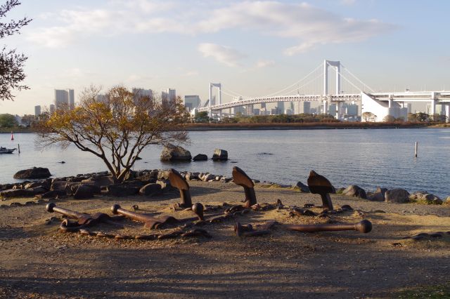 錨が埋め込まれた磯浜。