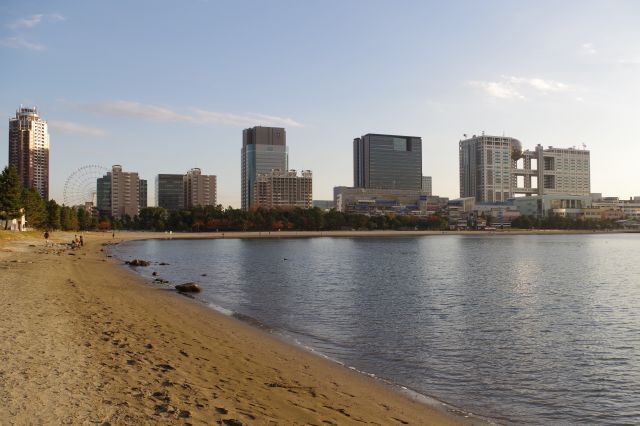 お台場海浜公園の写真ページ