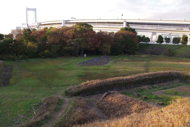 土塁の下に広がる広場。奥の方は木が生い茂る。