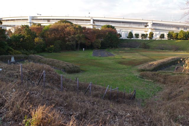 角まで来ると内側は植物が生々しい。