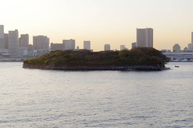 隣には同じような第六台場。あちらは手つかずなのか木が生い茂る。