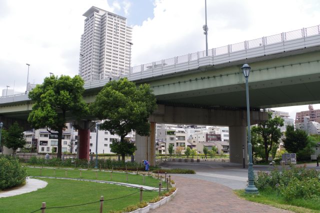 公園の上を高速道路がまたぎます。車の音も終始聞こえます。